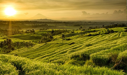 sewa harian rumah villa bali 2022